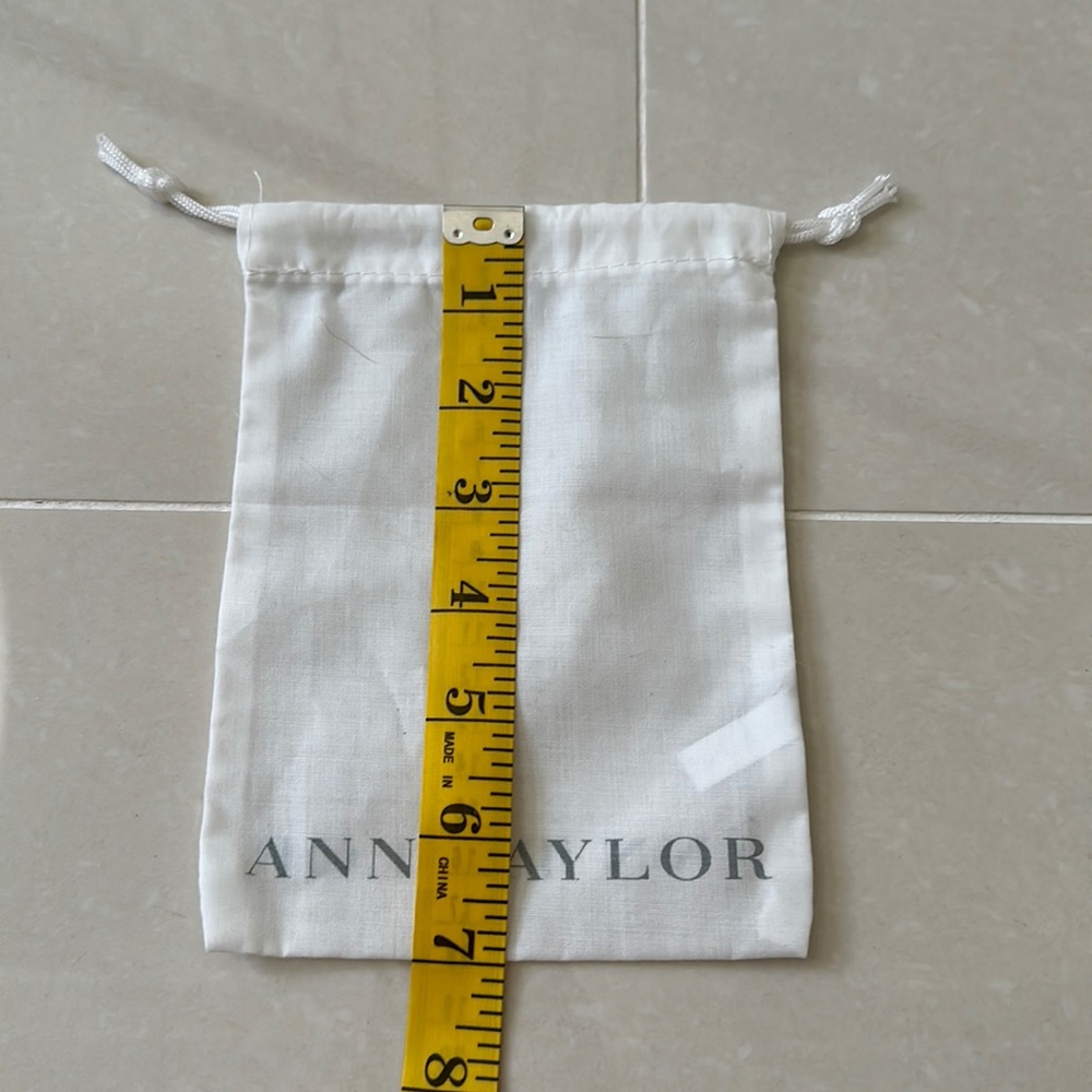 Ann Taylor dust bag
